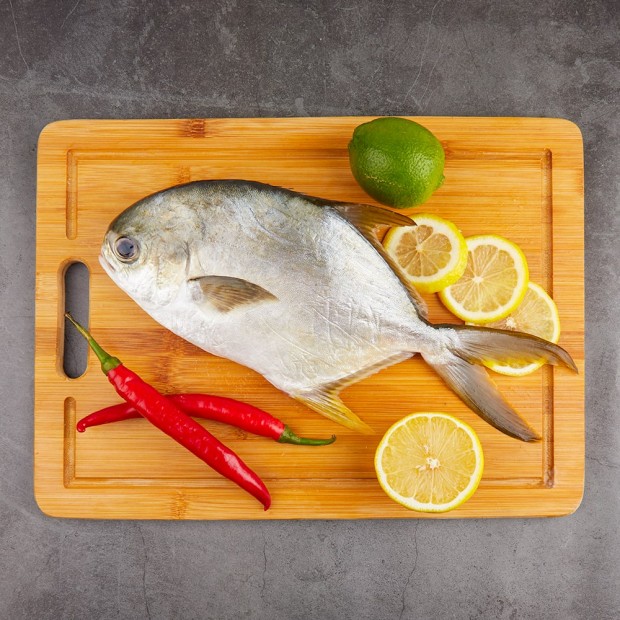 Fresh Golden Pomfret (500g)