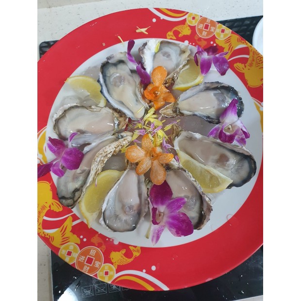 Sashimi Grade Japanese Oysters 6pcs